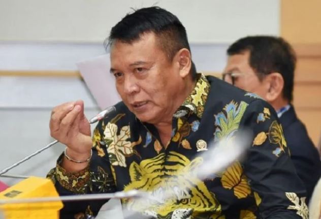 TB Hasanuddin Minta Pemerintah Tindak Tegas Untuk KKB di Papua