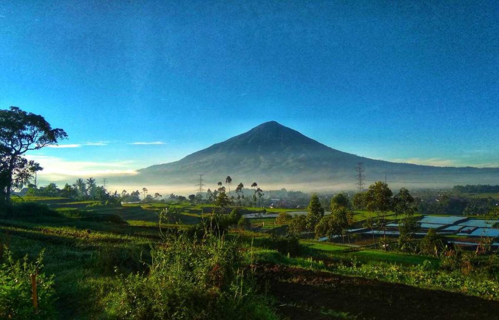 Gunung cikuray